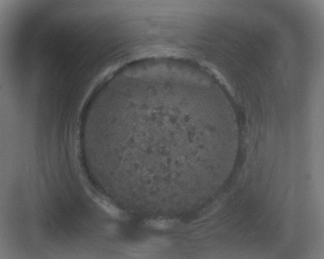 X0000083600679200702091220