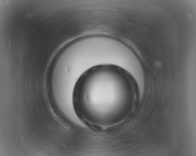 X0000083600680200702091220