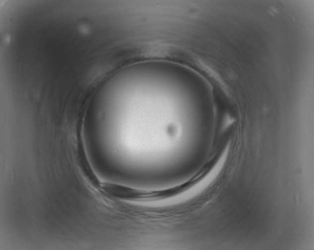 X0000083600681200702091220