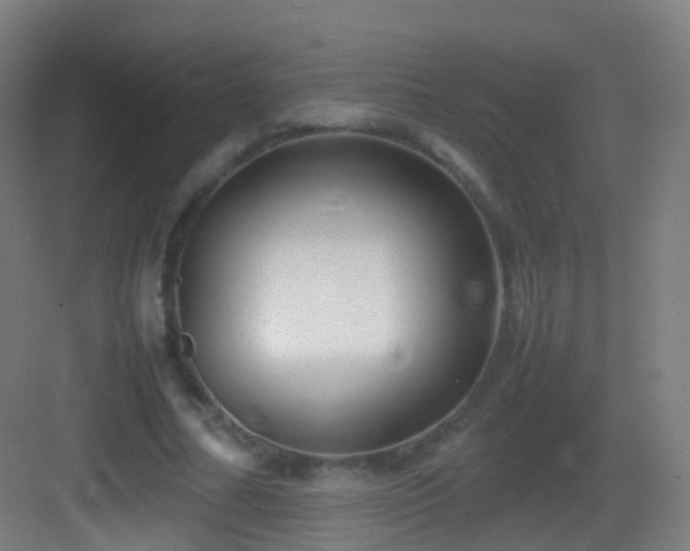 X0000083600682200702091220