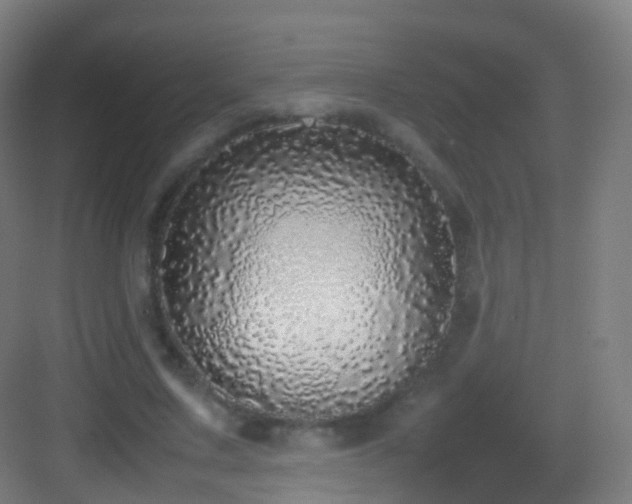 X0000083600683200702091220