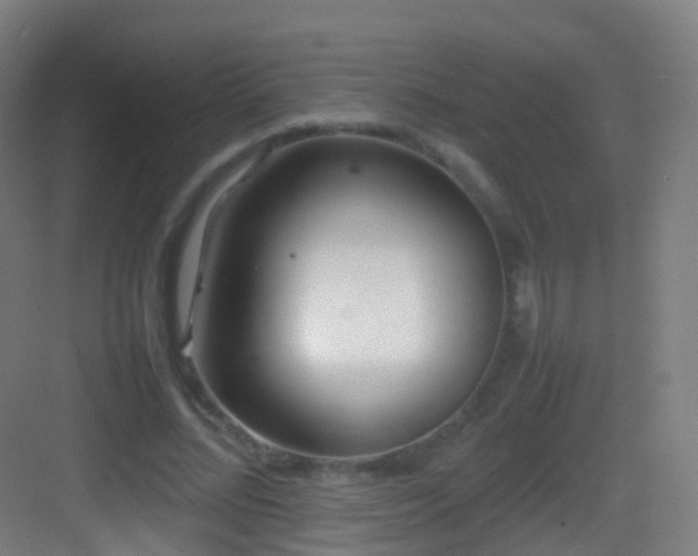 X0000083600684200702091220