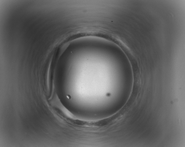 X0000083600685200702091220