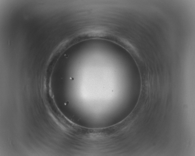 X0000083600686200702091220