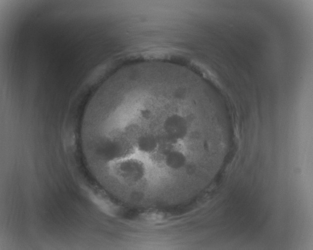 X0000083600687200702091220