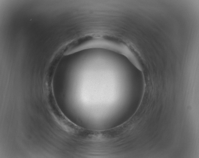 X0000083600688200702091220