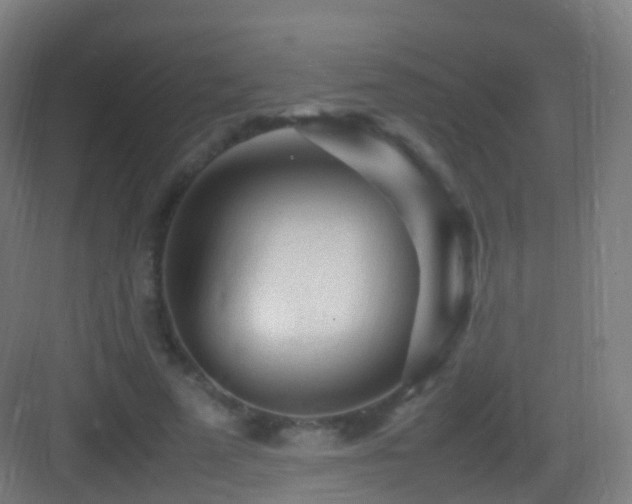 X0000083600689200702091220