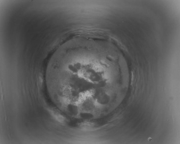 X0000083600691200702091220