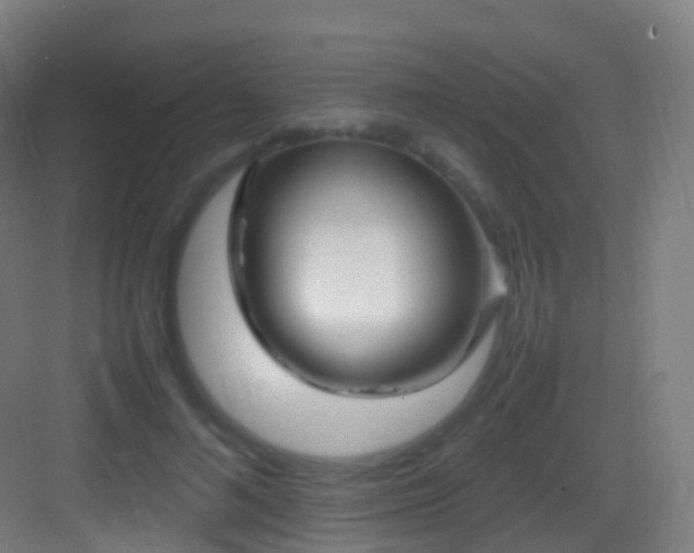 X0000083600692200702091220