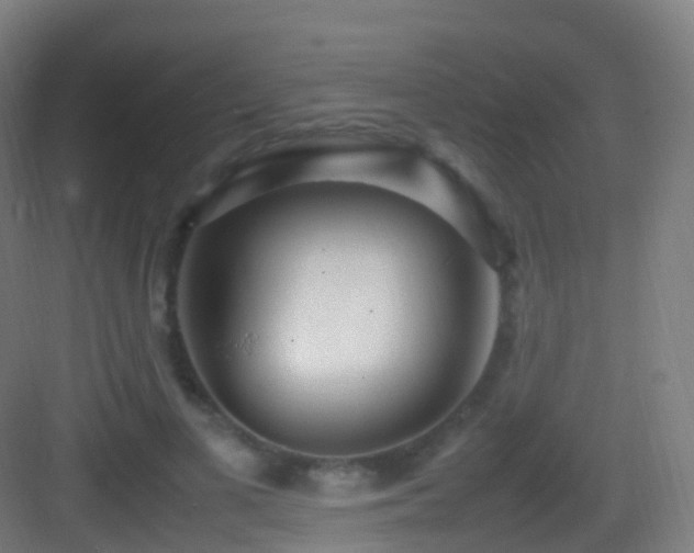 X0000083600693200702091220