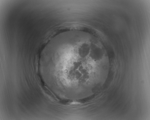 X0000083600695200702091220