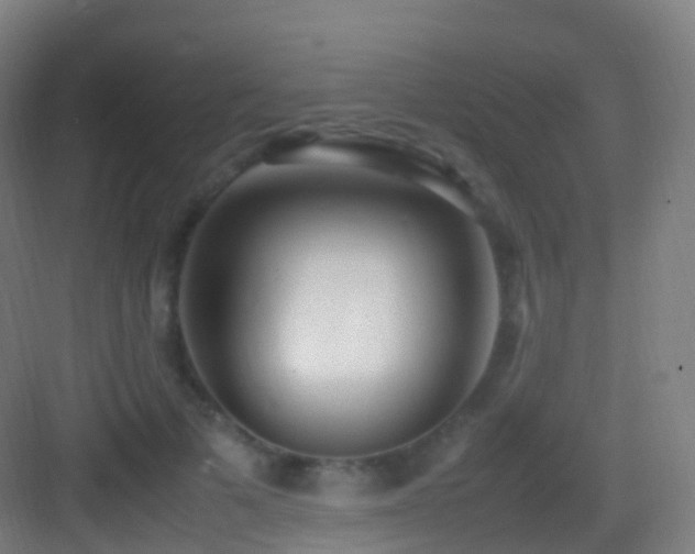 X0000083600697200702091220