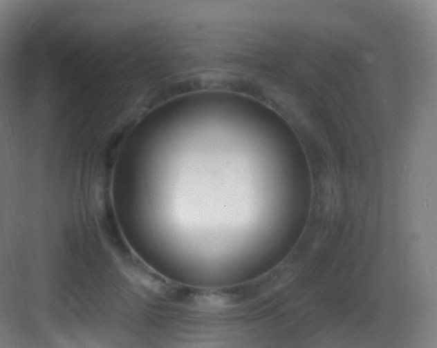 X0000083600698200702091220