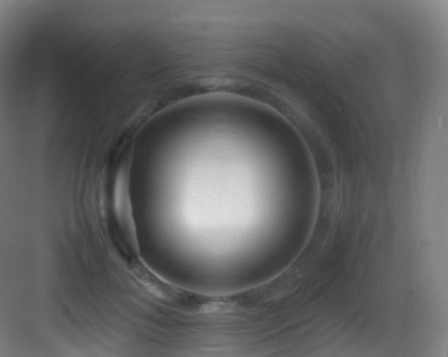 X0000083600700200702091220