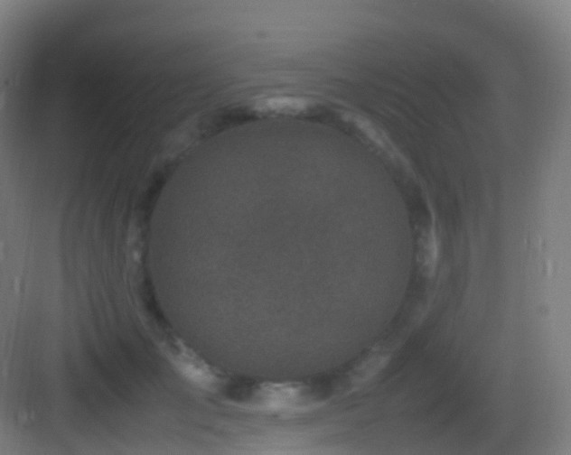 X0000083600701200702091220