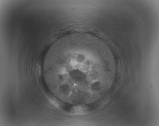 X0000083600703200702091220