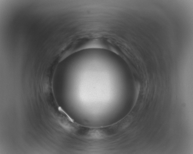 X0000083600704200702091220