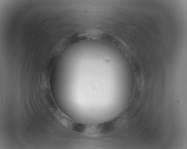 X0000083600705200702091220