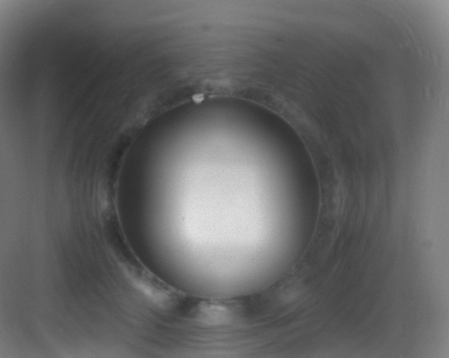 X0000083600706200702091220