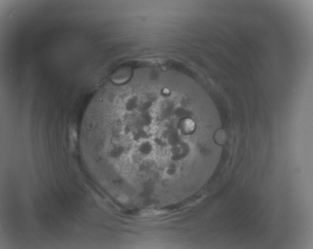 X0000083600707200702091220