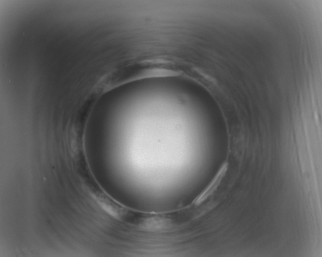 X0000083600708200702091220