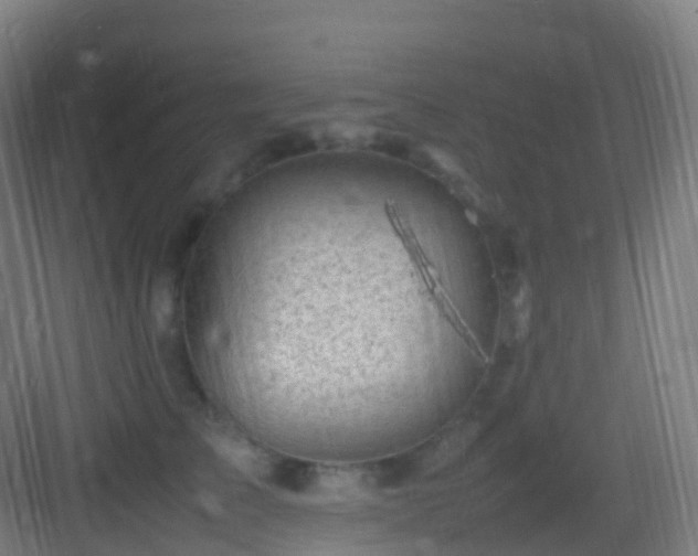 X0000083600709200702091220