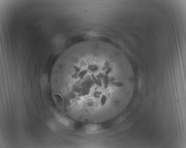 X0000083600711200702091220