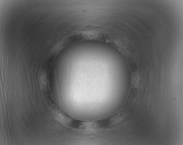 X0000083600713200702091220