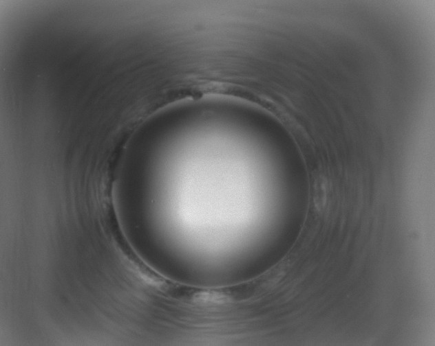 X0000083600714200702091220