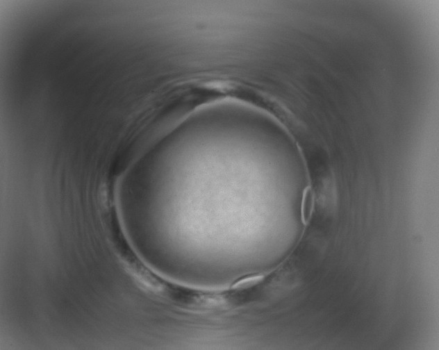 X0000083600715200702091220