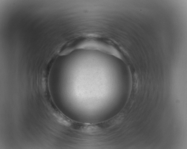 X0000083600716200702091220