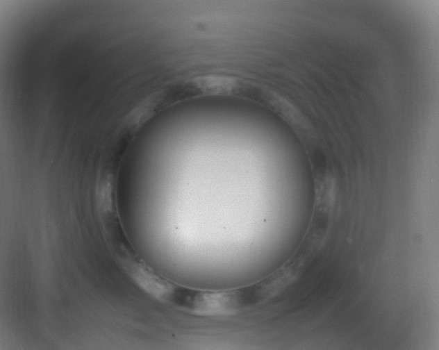 X0000083600717200702091220