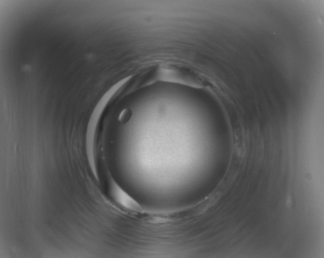 X0000083600718200702091220