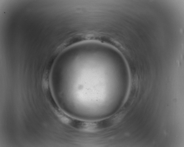 X0000083600719200702091220