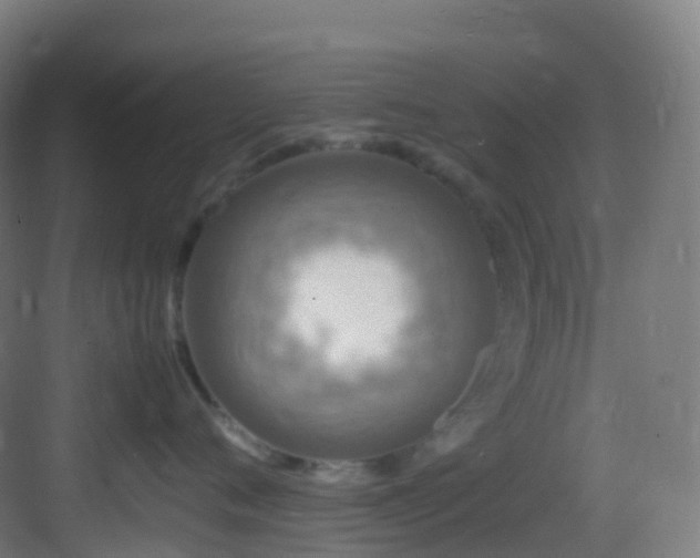 X0000083600720200702091220