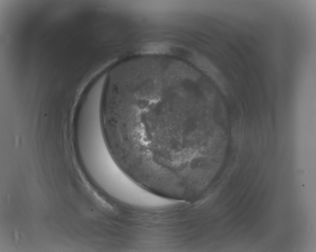 X0000083600721200702091219