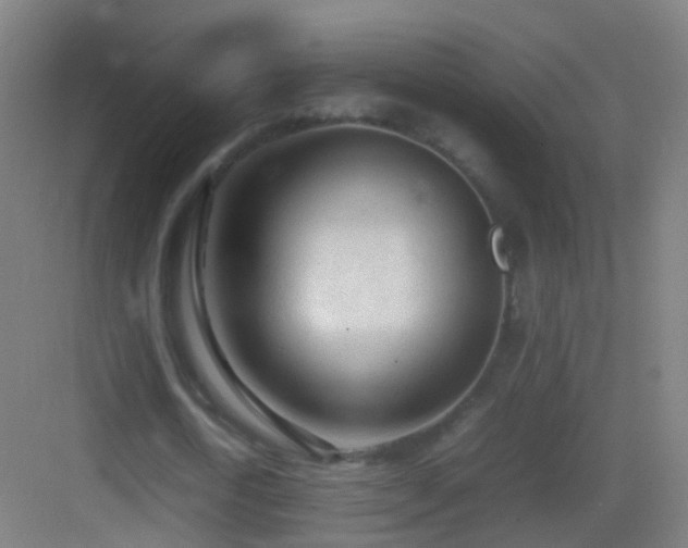 X0000083600722200702091219