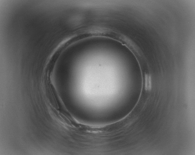 X0000083600723200702091219