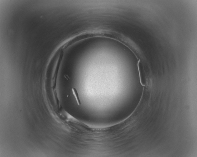 X0000083600724200702091219