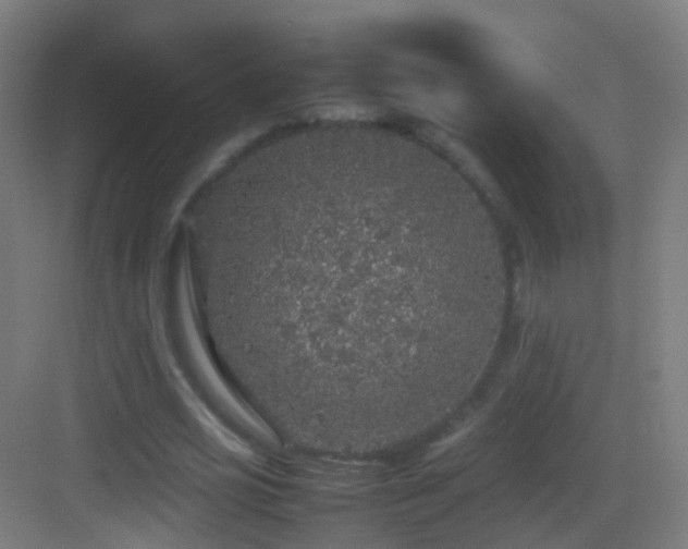 X0000083600725200702091219