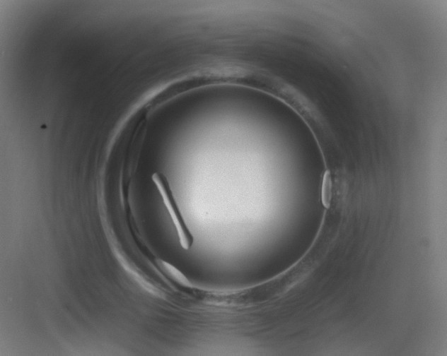 X0000083600726200702091219