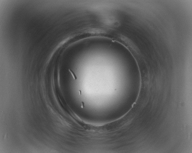 X0000083600727200702091219