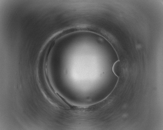 X0000083600728200702091219