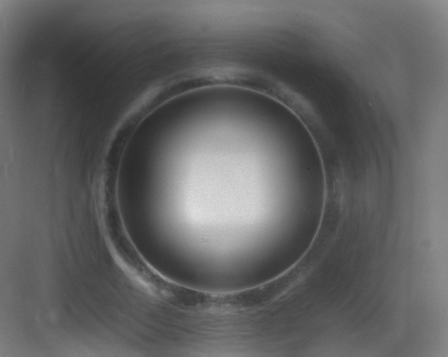 X0000083600730200702091219