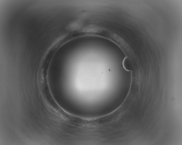 X0000083600731200702091219