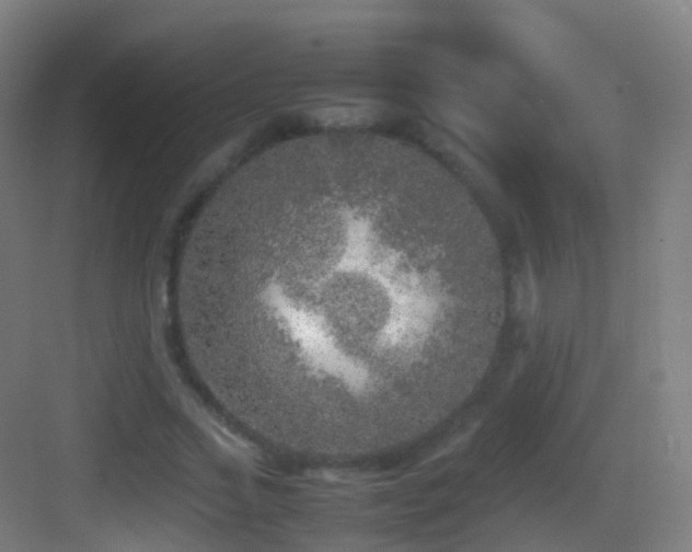 X0000083600733200702091219