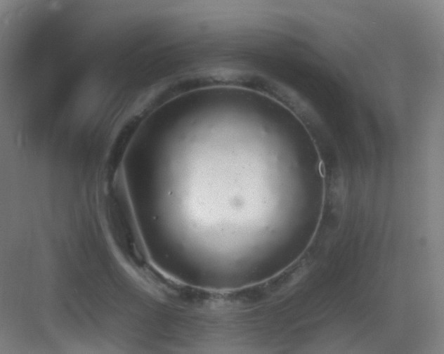 X0000083600734200702091219