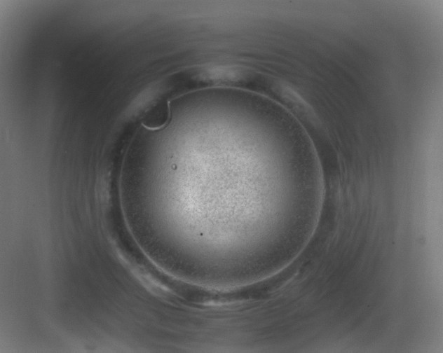 X0000083600735200702091219