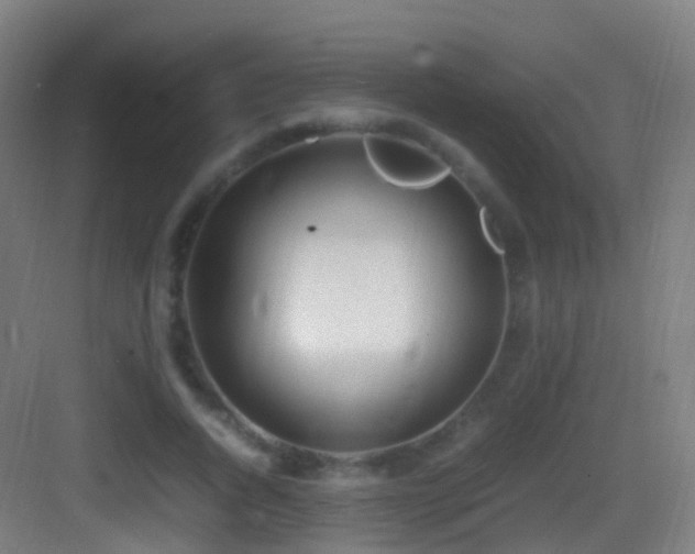 X0000083600736200702091219