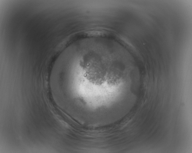 X0000083600737200702091219